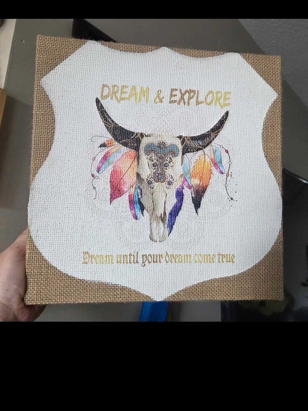 Dream & Explore Multicolor Skull Canvas Wall Art